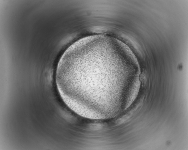 X0000102400404200808151947