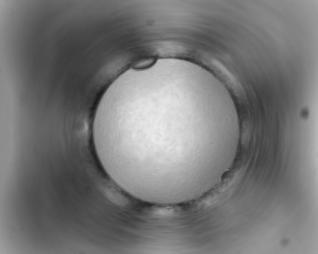 X0000102400405200808151947