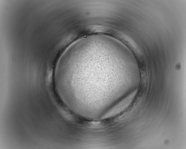 X0000102400406200808151947