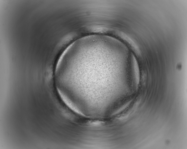 X0000102400407200808151947