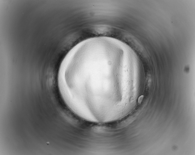 X0000102400408200808151947