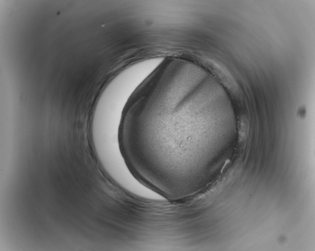 X0000102400409200808151947