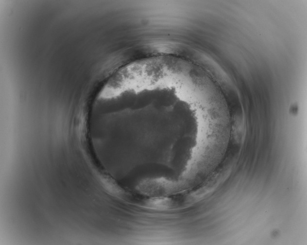 X0000102400410200808151947