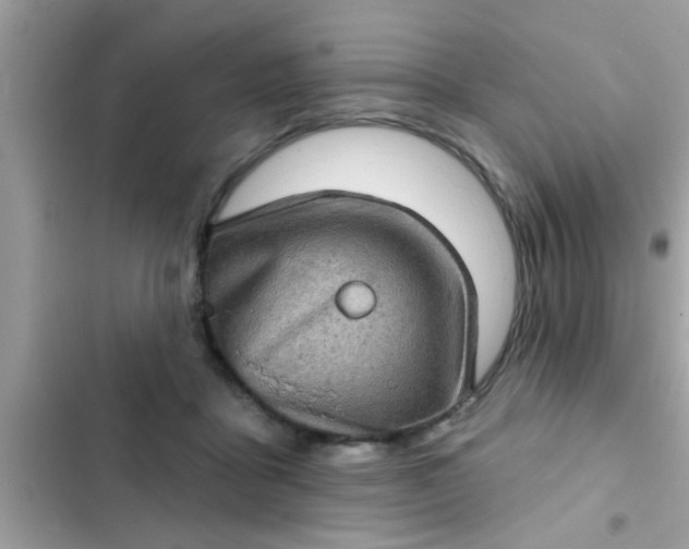 X0000102400411200808151947