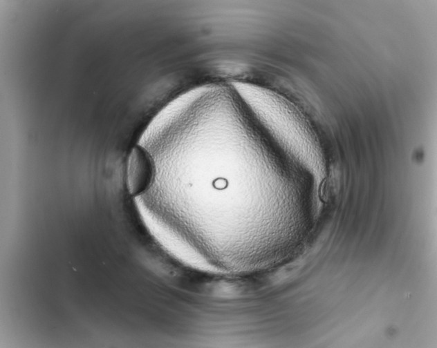 X0000102400412200808151947