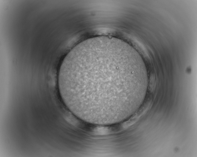 X0000102400413200808151947