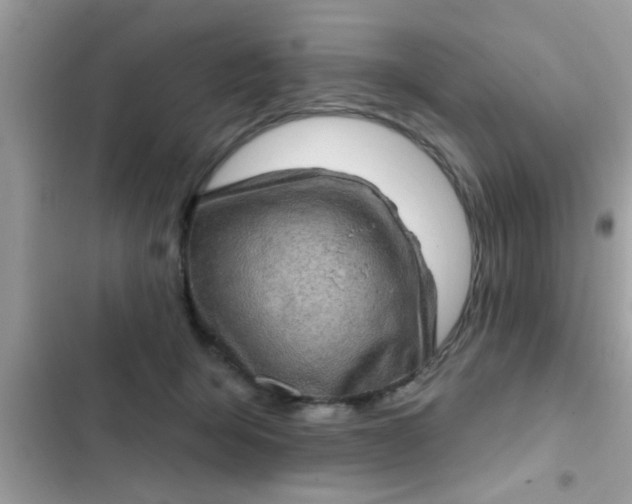 X0000102400415200808151947