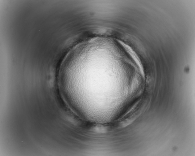 X0000102400416200808151947