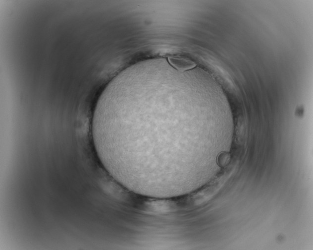 X0000102400417200808151947