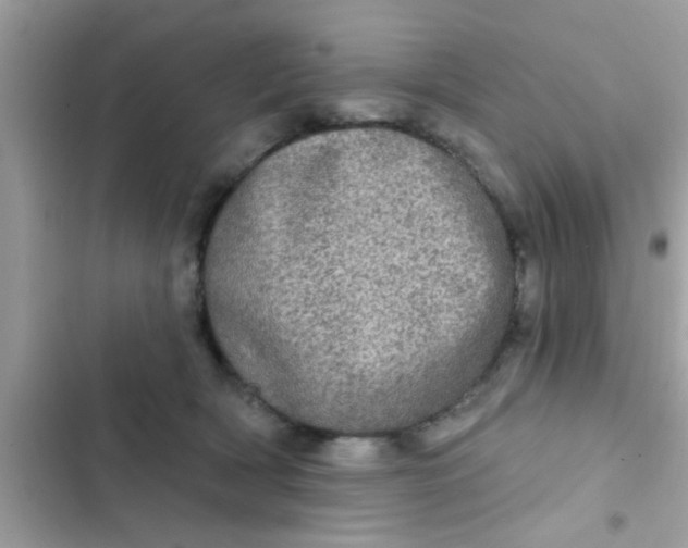 X0000102400418200808151947