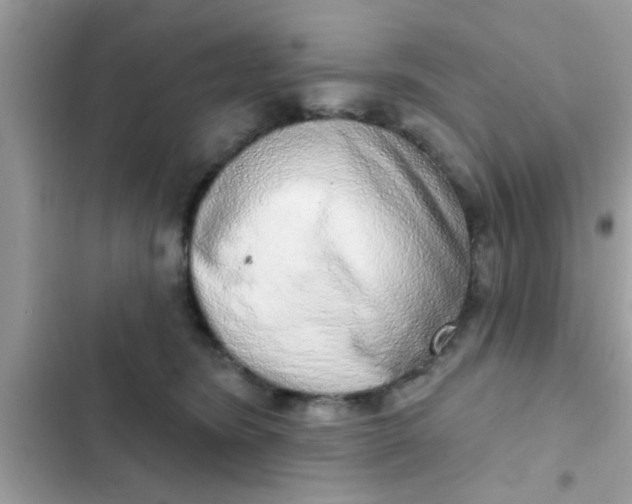 X0000102400420200808151947