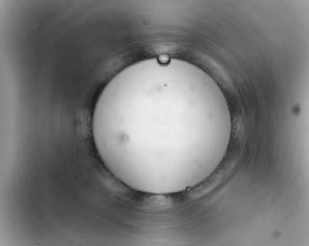 X0000102400421200808151947