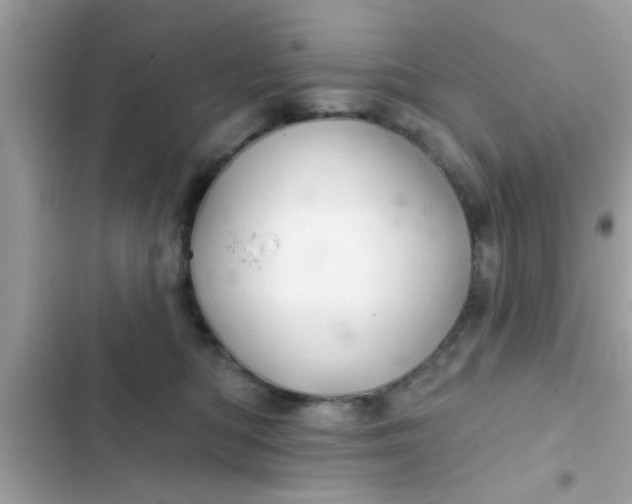 X0000102400422200808151947