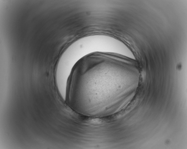 X0000102400423200808151947