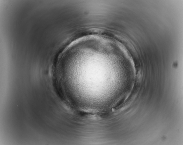 X0000102400424200808151947