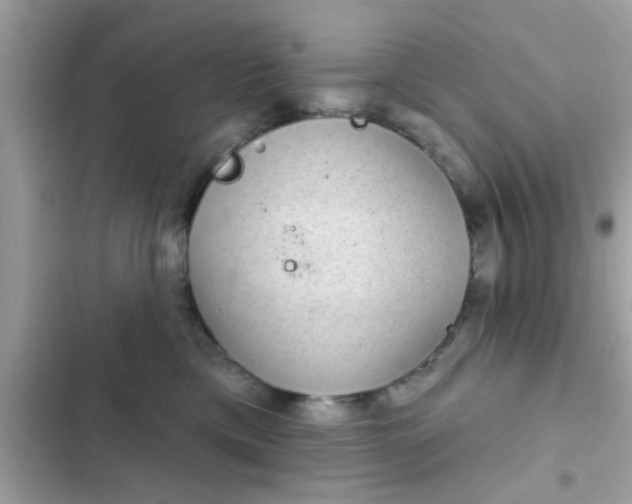 X0000102400425200808151947