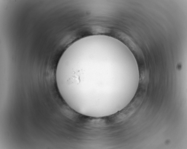 X0000102400426200808151947