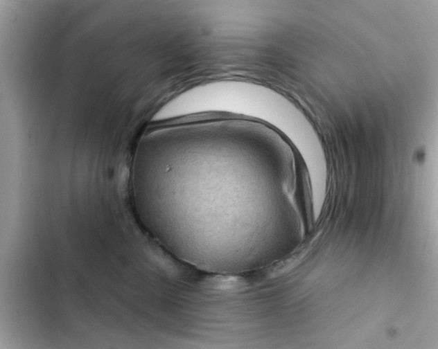 X0000102400427200808151947