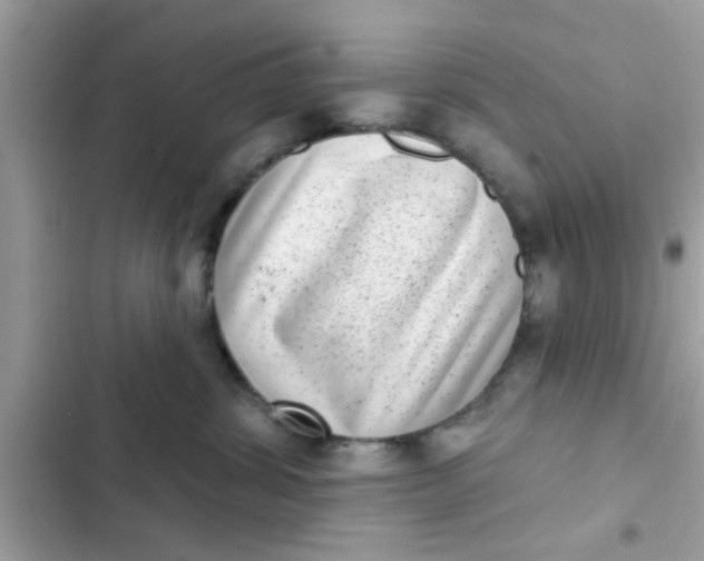 X0000102400428200808151947