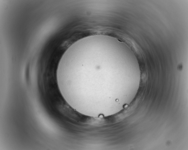 X0000102400429200808151947