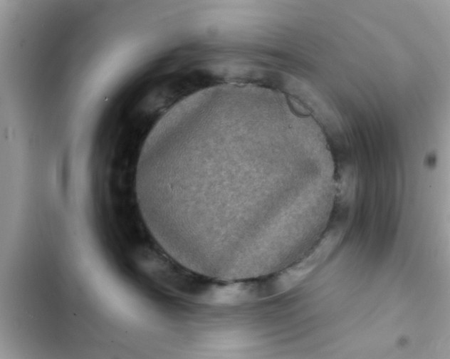 X0000102400430200808151947