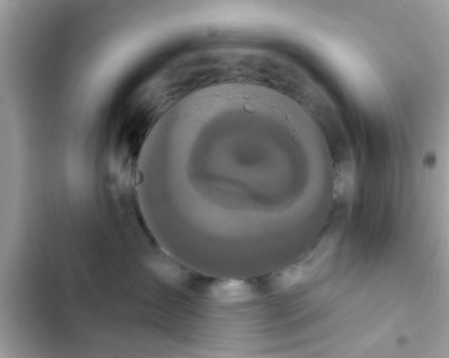 X0000102400431200808151947