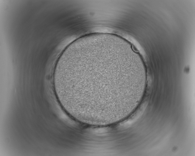 X0000102400433200808151946