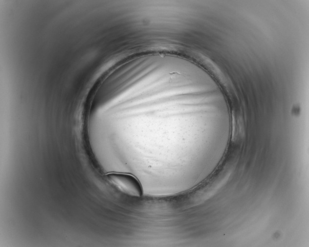 X0000102400435200808151946