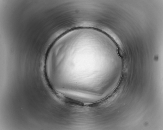 X0000102400437200808151946