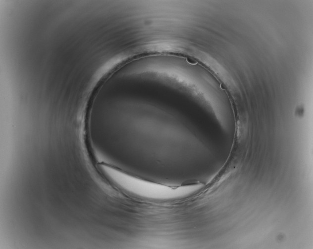 X0000102400438200808151946