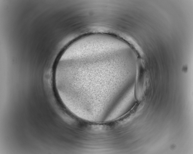 X0000102400439200808151946