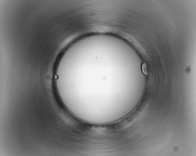 X0000102400440200808151946