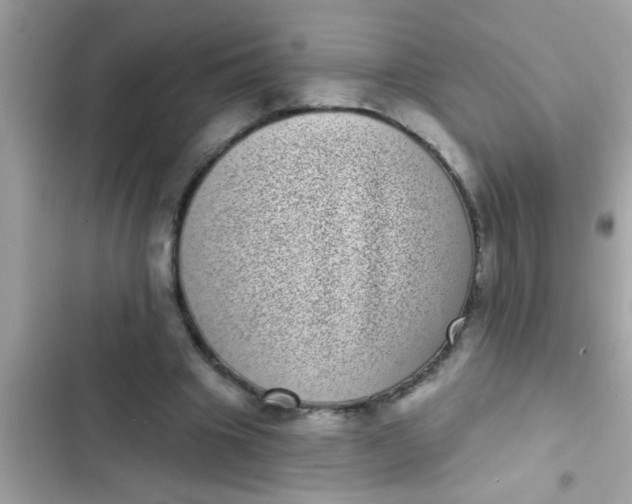 X0000102400441200808151946