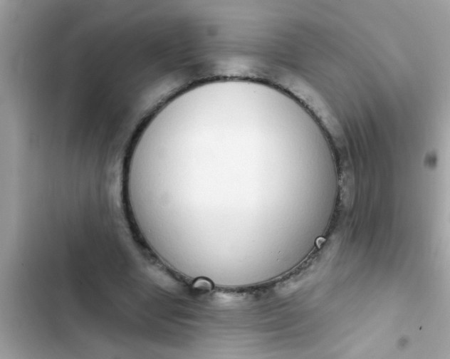 X0000102400442200808151946