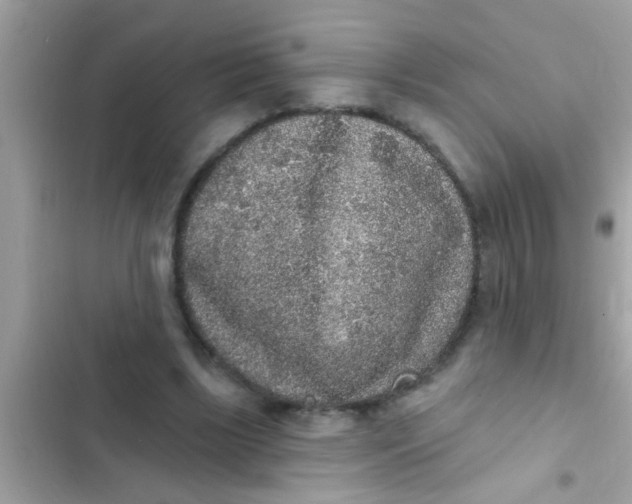 X0000102400443200808151946