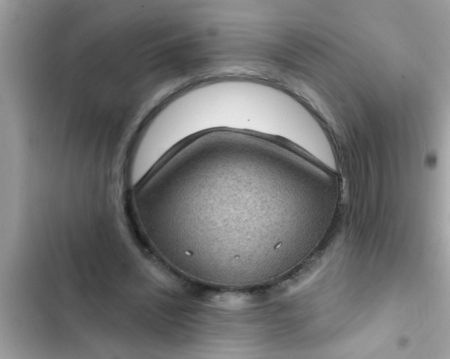 X0000102400444200808151946