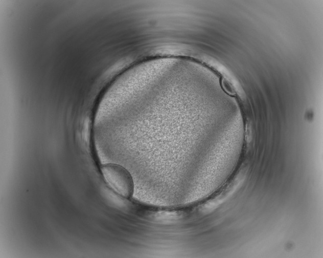 X0000102400445200808151946