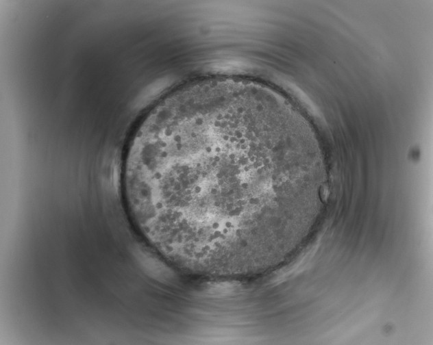 X0000102400446200808151946