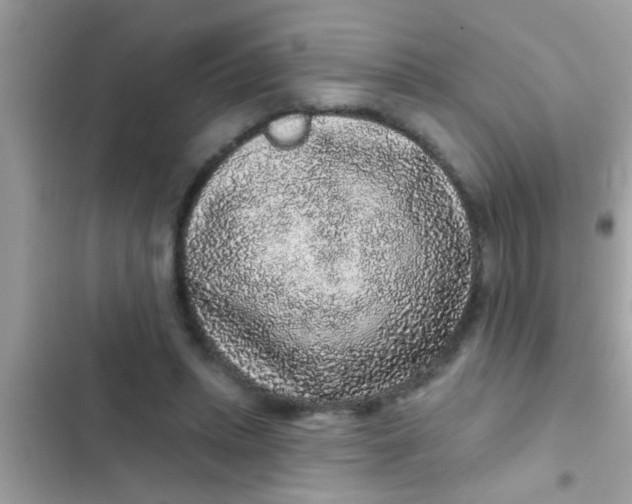 X0000102400447200808151947