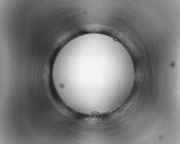 X0000102400448200808151947