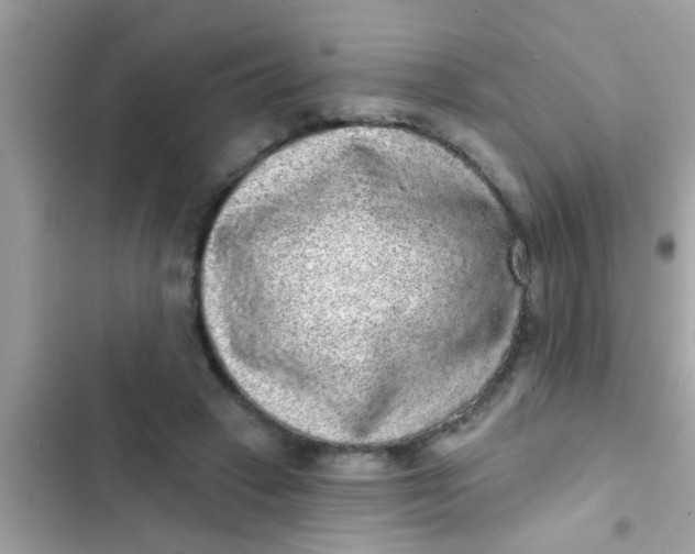 X0000102400449200808151947