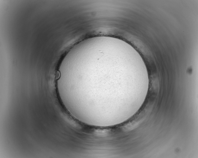 X0000102400450200808151947