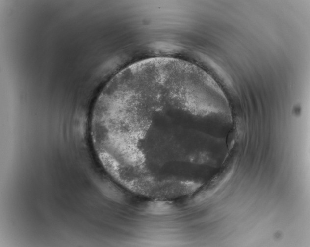 X0000102400451200808151947