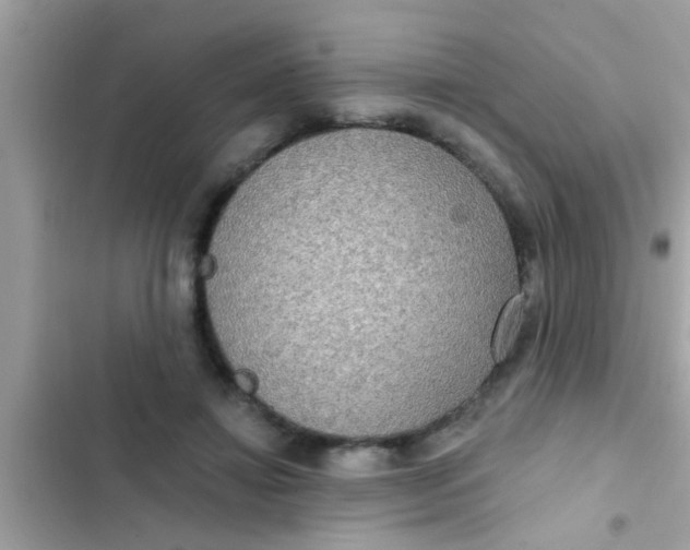 X0000102400452200808151947