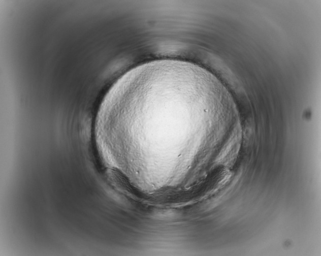 X0000102400454200808151947