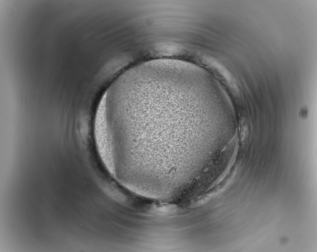 X0000102400455200808151947