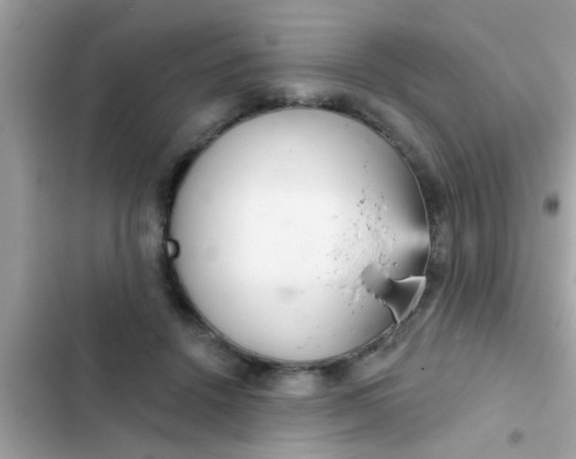 X0000102400456200808151947