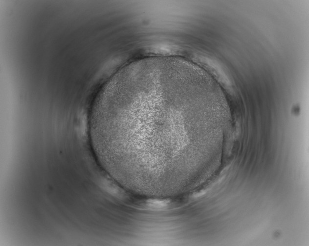 X0000102400457200808151947