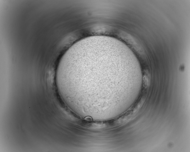 X0000102400458200808151947