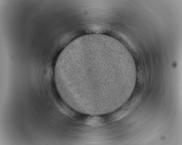 X0000102400459200808151947